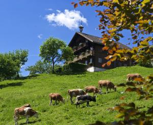 Farm in the Altenmarkt-Zauchensee area