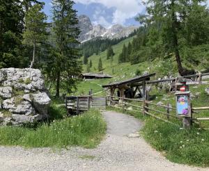 Rundwanderweg um den Almsee bei der Oberhofalm