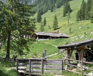 Blick hinauf zur Unterhofalm