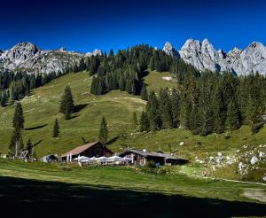 Die Unterhofalm im Sommer