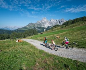 Radtour im Hofalmengebiet