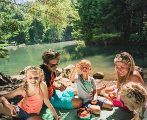 Familie beim Picknick am Almsee