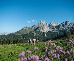Wandern im wunderschonene Hofalmen Gebiet