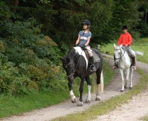 Gemuetlicher Ausritt
