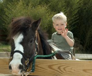 Herangehender Reiter mit seinem Pony