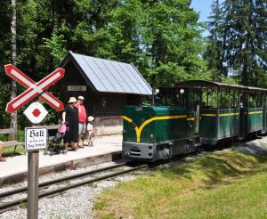Der Bummelzug fährt kostenlos zwischen den einzelnen Bezirken