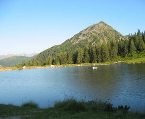 Reiteralm hiking area with Schober