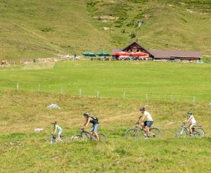 Sulzenalmen Kralehenhuette im Sommer