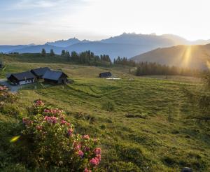 Aussicht von der Lackenalm