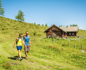 Wanderer vom Weg zur Lackenalm ins Tal