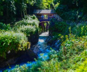 Bruecke in der Sigmund Thun Klamm