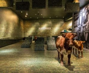 Nationalpark Zentrum in Mittersill Ausstellungsraum