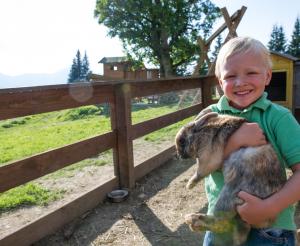 Streichelzoo auf der Breitenebenalm