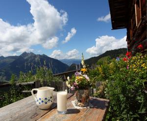 Aussicht von der Maurachalm