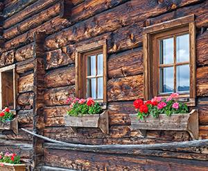 Alpine hut with flowers