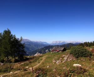 Die Saukaralm im wunderschoenen Wandergebiet Grossarl