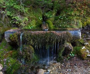 Schoener Brunnen bei der Unterwandalm