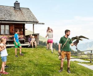 Stauende Besucher bei der Greifvogelschau auf der Hochalm