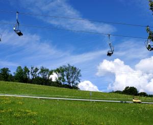 Sommerrodelbahn Keltenblitz Bild 1