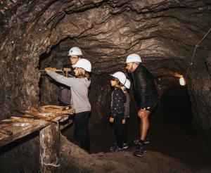 Visitors are allowed to try ore mining