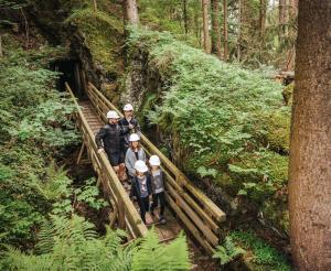 Im Wald versteckter Mineneingang