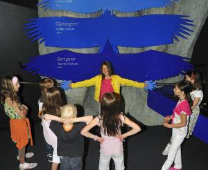 Guide explains the size of the different birds of prey to children