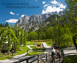 Nationalpark Gesaeusse Weidendom Bild 1