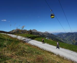 Sommerlifteln in Großarl