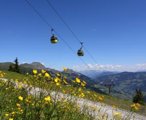 Eine wunderschoenes Panorma auf 1.800 m