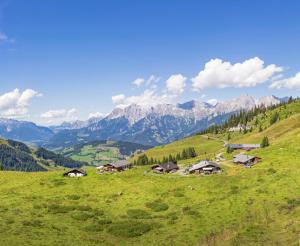 Alpine pastures in the Gastein Valley hiking area