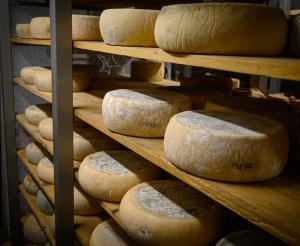 Excellent cheese is produced on the alpine pasture