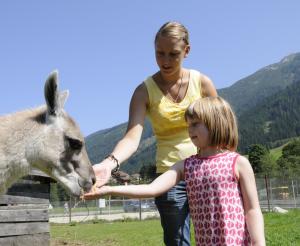 Wildpark Untertauern