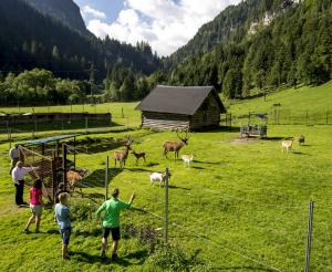 Wildpark Untertauern
