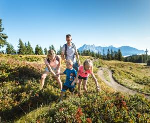 Wandern in der schoenen Natur
