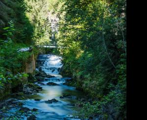 Talbachklamm Ausflugsziel im Sommer