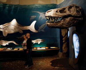 Ausstellungsraum Haus der Natur