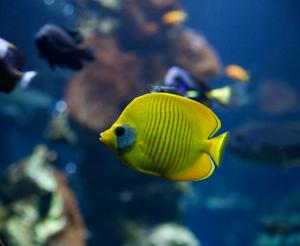 Ausstellungsraum Haus der Natur