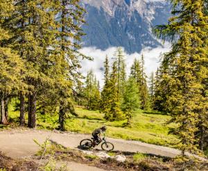 Strecke durch den Wald Bike Park Schladming 2.0