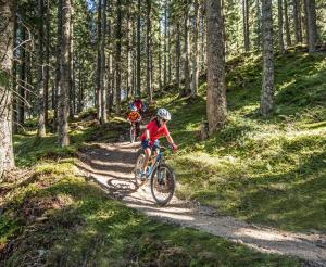 Downhill durch den Wald