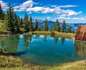 Wandergebiet Planai im Sommer