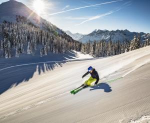 Skigebiet der 4 Berge Skischaukel