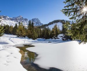 Almsee im Winter