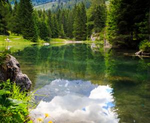 Almsee im Sommer