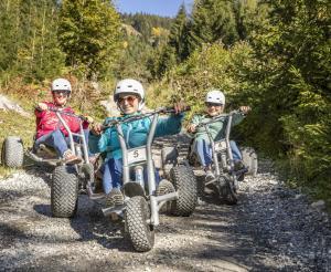 Mountain Cart eine spezielle Fun Sportart