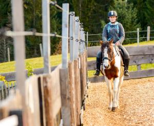 Die Kinder koennen in gesichertem Umfeld ihre Reitkuenste erproben
