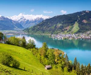 Blick auf Zell am See und den Zeller See