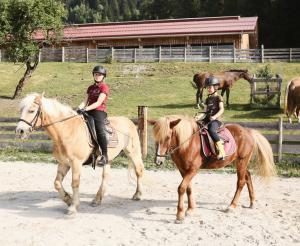 Horse riding at the Saumerhof in Schladming
