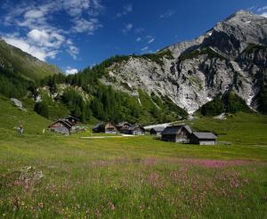 Ursprungalm mit Berglandschaft