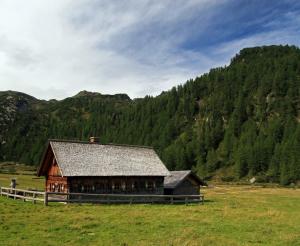 Ursprungalm mit Zaun und Wald