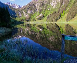 Styrian Bodensee